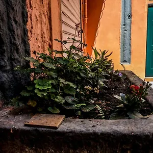 Little House Naples